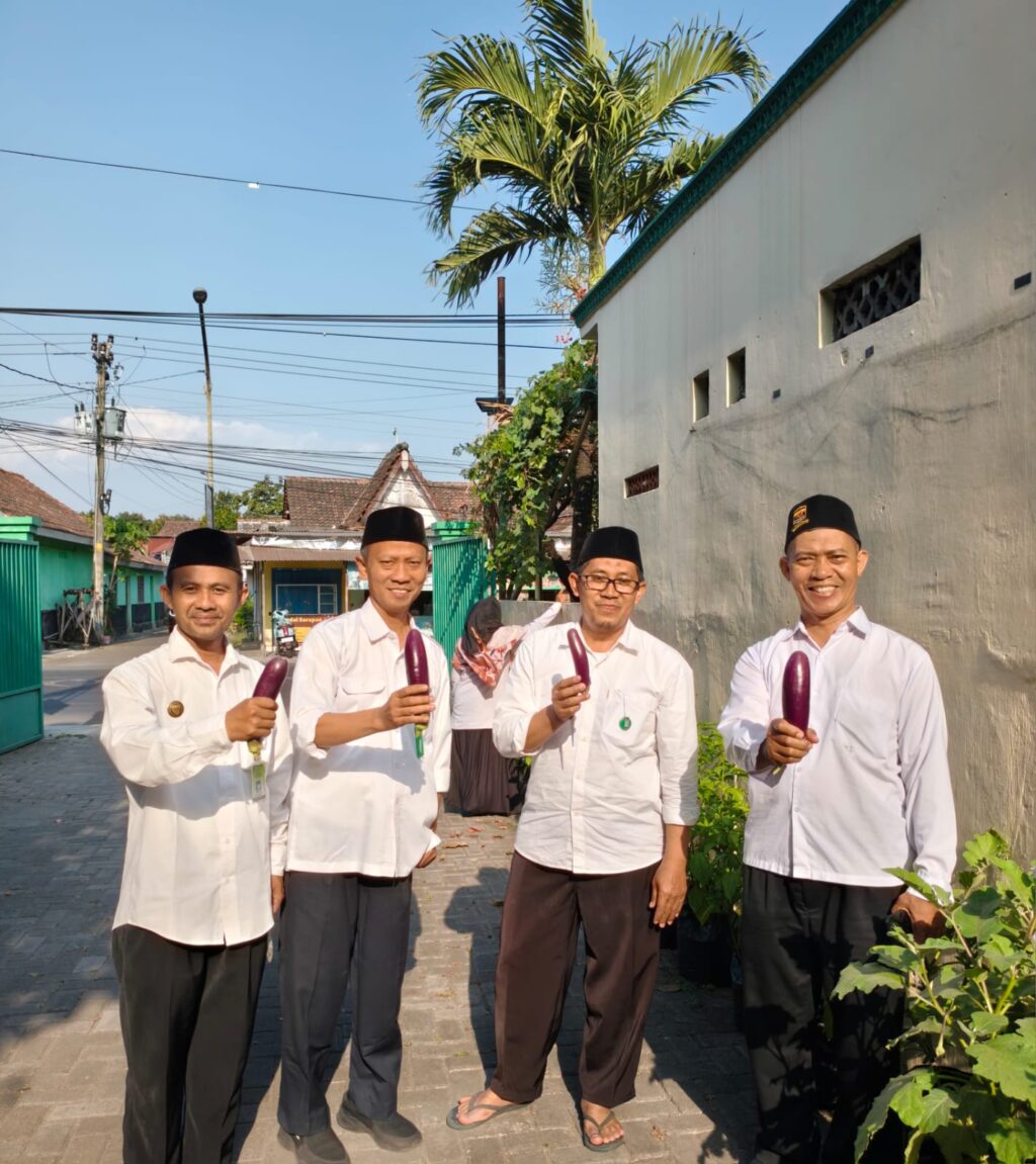 Panen Terong